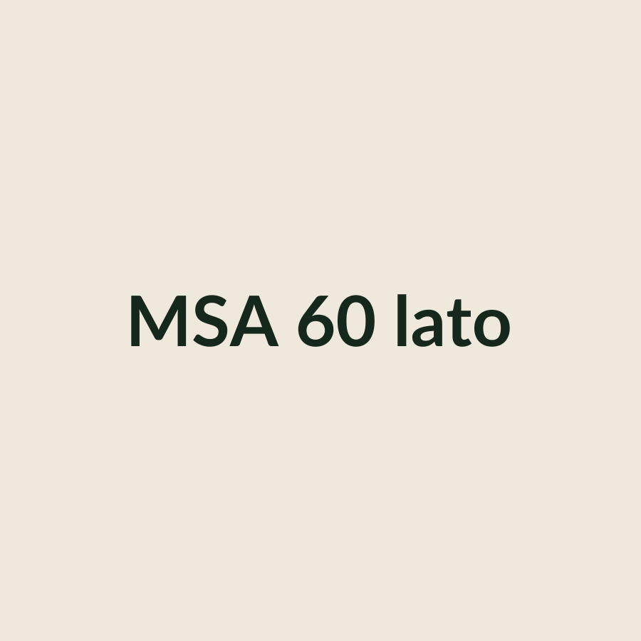 STIHL MSA 60 C-B Set - Motosega a batteria con barra da 30 cm - immagine 2